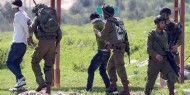 انتهاكات الاحتلال الإسرائيلي ضد الشعب الفلسطيني ومقدراته