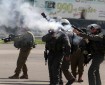 الاحتلال يطلق قنابل الصوت والغاز السام صوب المواطنين في بلدة عزون