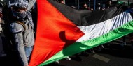 مسيرة حاشدة في فيينا دعما للشعب الفلسطيني